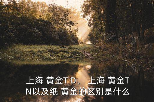  上海 黃金T D、 上海 黃金T N以及紙 黃金的區(qū)別是什么