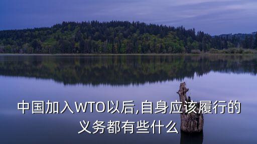 中國(guó)加入WTO以后,自身應(yīng)該履行的義務(wù)都有些什么