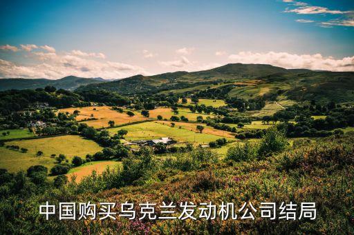 中國購買烏克蘭發(fā)動機(jī)公司結(jié)局