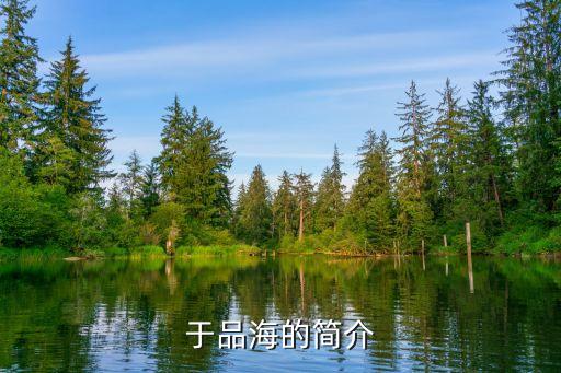 南?？毓善煜鹿?新城控股旗下公司有哪些