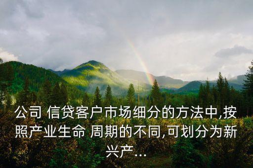 公司 信貸客戶市場細分的方法中,按照產(chǎn)業(yè)生命 周期的不同,可劃分為新興產(chǎn)...