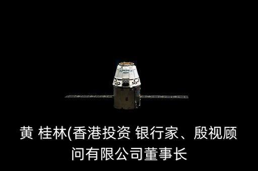 黃 桂林(香港投資 銀行家、殷視顧問有限公司董事長