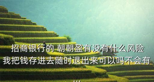  招商銀行的 朝朝盈有沒(méi)有什么風(fēng)險(xiǎn)我把錢(qián)存進(jìn)去隨時(shí)退出來(lái)可以嗎不會(huì)有...