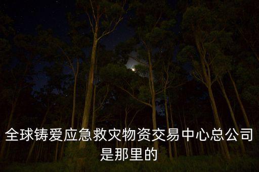 全球鑄愛應急救災物資交易中心總公司是那里的
