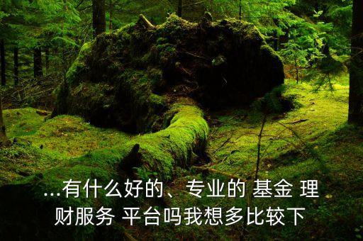 ...有什么好的、專業(yè)的 基金 理財(cái)服務(wù) 平臺嗎我想多比較下