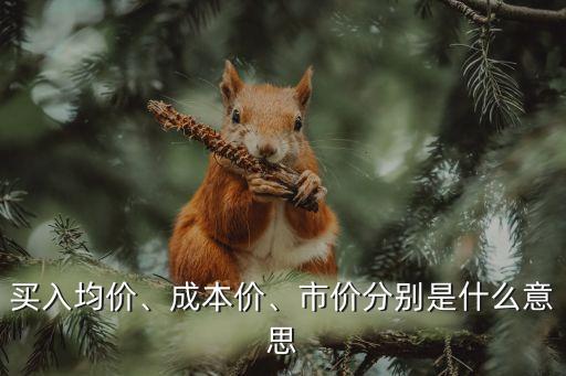 買入均價(jià)、成本價(jià)、市價(jià)分別是什么意思