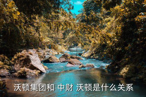  沃頓集團和 中財 沃頓是什么關系