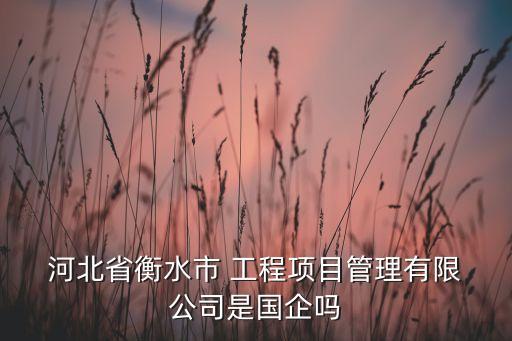  河北省衡水市 工程項(xiàng)目管理有限 公司是國企嗎