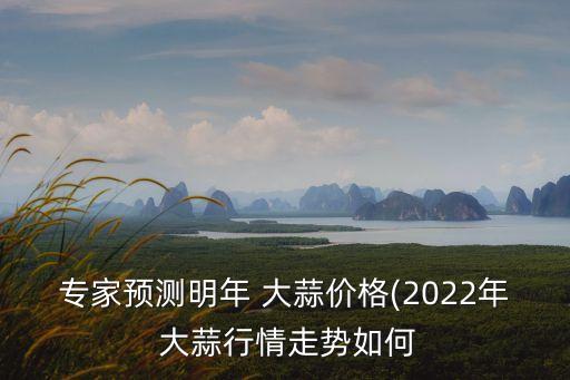 專家預測明年 大蒜價格(2022年 大蒜行情走勢如何