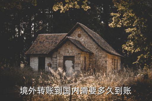 境外轉賬到國內(nèi)需要多久到賬