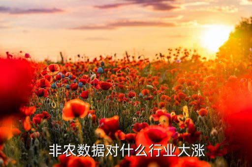 非農數(shù)據對什么行業(yè)大漲