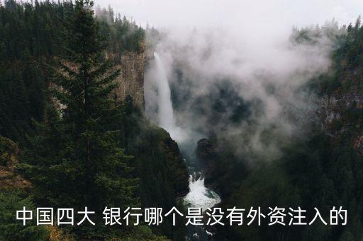 中國(guó)四大 銀行哪個(gè)是沒有外資注入的