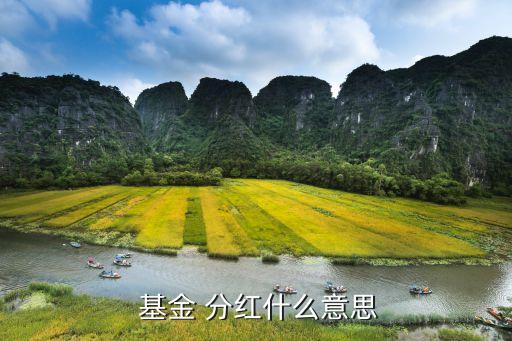 基金分紅計(jì)算,090001基金分紅查詢(xún)