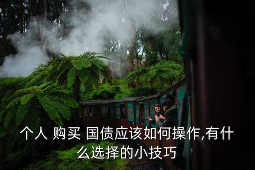個(gè)人 購(gòu)買(mǎi) 國(guó)債應(yīng)該如何操作,有什么選擇的小技巧