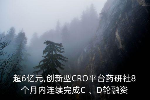 超6億元,創(chuàng)新型CRO平臺藥研社8個月內連續(xù)完成C 、D輪融資