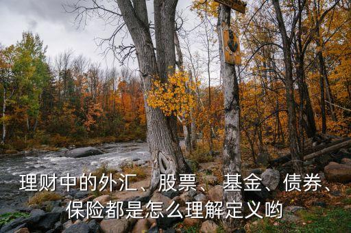 理財中的外匯、股票、 基金、債券、保險都是怎么理解定義喲