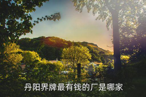  丹陽(yáng)界牌最有錢(qián)的廠是哪家