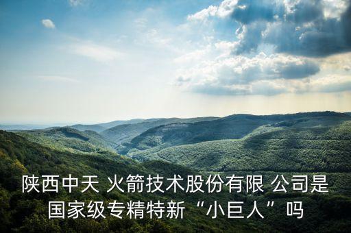 陜西中天 火箭技術(shù)股份有限 公司是國(guó)家級(jí)專(zhuān)精特新“小巨人”嗎
