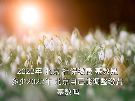 2022年 北京 社保繳費 基數(shù)是多少2022年 北京自己能調整繳費 基數(shù)嗎