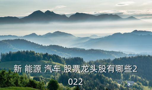 屬于新能源汽車(chē)股票有哪些,新能源汽車(chē)上市公司龍頭股票