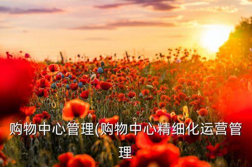 購物中心管理(購物中心精細(xì)化運營管理