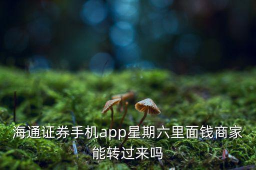 海通證券手機app星期六里面錢商家能轉過來嗎