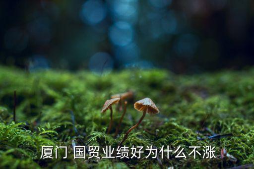 廈門國貿上海地塊