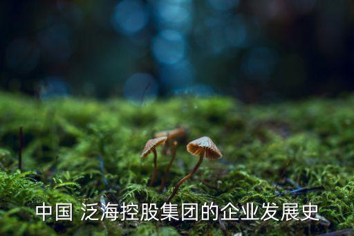 中國(guó) 泛?？毓杉瘓F(tuán)的企業(yè)發(fā)展史