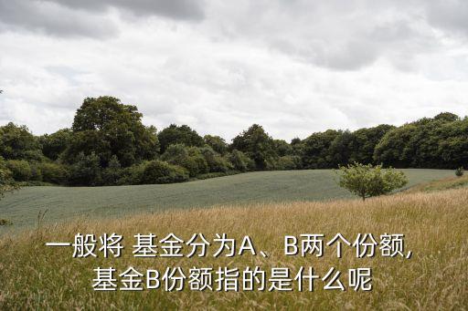 一般將 基金分為A、B兩個份額, 基金B(yǎng)份額指的是什么呢