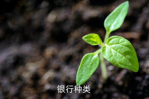 農(nóng)業(yè)銀行表外業(yè)務