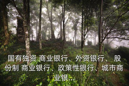 國(guó)有獨(dú)資 商業(yè)銀行、外資銀行、 股份制 商業(yè)銀行、政策性銀行、城市商業(yè)銀...