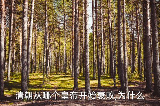 清朝從哪個(gè)皇帝開(kāi)始衰敗,為什么