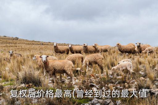 復權(quán)后價格最高(曾經(jīng)到過的最大值