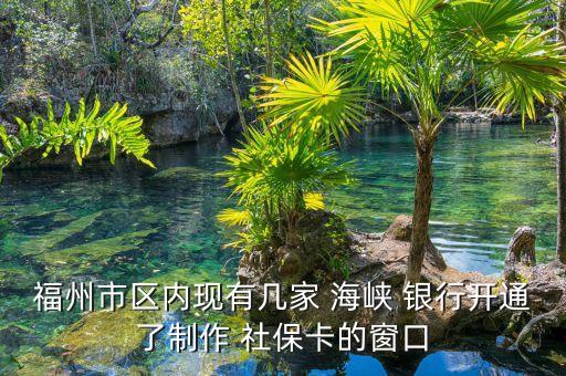 福州市區(qū)內(nèi)現(xiàn)有幾家 海峽 銀行開通了制作 社?？ǖ拇翱? class=