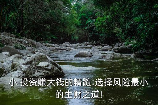 小 投資賺大錢的精髓:選擇風(fēng)險最小的生財(cái)之道!