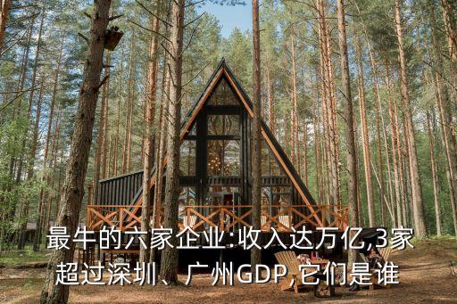  最牛的六家企業(yè):收入達(dá)萬(wàn)億,3家超過(guò)深圳、廣州GDP,它們是誰(shuí)