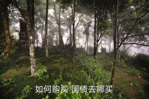 如何購買 國(guó)債去哪買