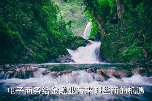 電子商務(wù)給金融業(yè)帶來哪些新的機遇