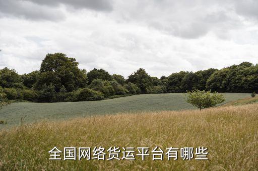 全國網(wǎng)絡(luò)貨運(yùn)平臺有哪些