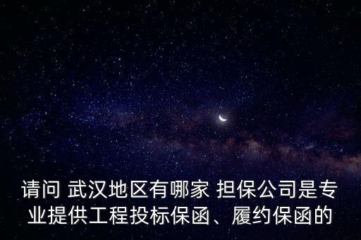 武漢金正合融資擔(dān)保有限公司,武漢信用風(fēng)險管理融資擔(dān)保有限公司