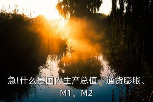 急!什么是國內(nèi)生產(chǎn)總值、通貨膨脹、M1、M2