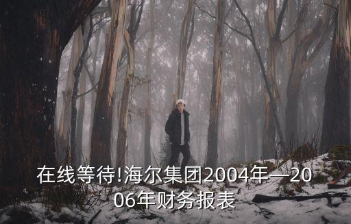在線等待!海爾集團(tuán)2004年—2006年財務(wù)報表