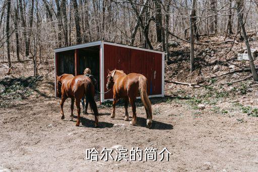 哈藥集團股份有限公司招標(biāo)信息,中國哈藥集團股份有限公司