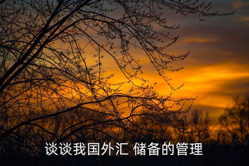 談談我國外匯 儲備的管理