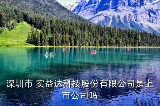 深圳市 實益達(dá)科技股份有限公司是上市公司嗎