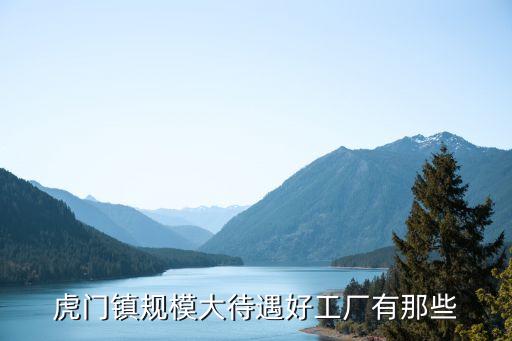 虎門(mén)鎮(zhèn)規(guī)模大待遇好工廠有那些