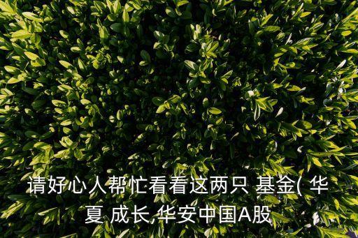 請(qǐng)好心人幫忙看看這兩只 基金( 華夏 成長(zhǎng),華安中國A股
