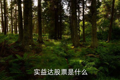  實益達(dá)股票是什么