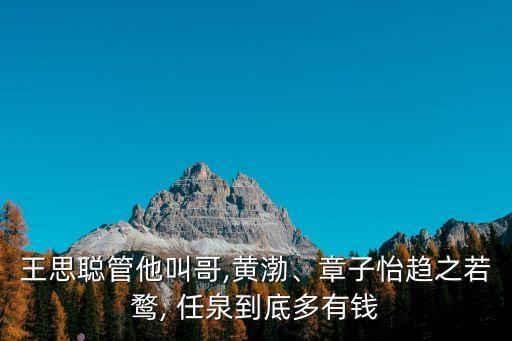 王思聰管他叫哥,黃渤、章子怡趨之若鶩, 任泉到底多有錢(qián)