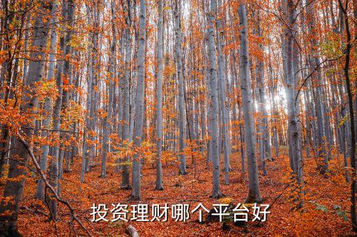  投資理財(cái)哪個(gè)平臺好